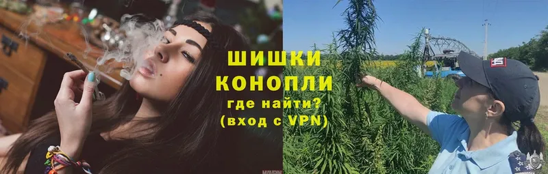 Конопля конопля  где купить наркоту  Бахчисарай 